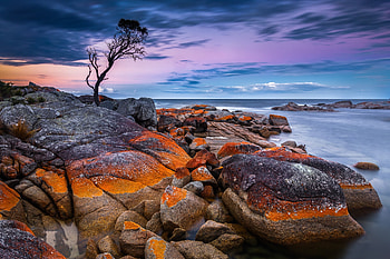 Tasmania Binalong Bay,Australia, Horizon, Stones, Coast, Sea HD wallpaper