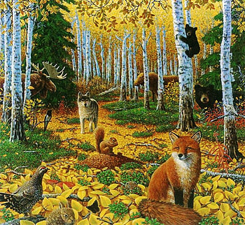 animals in the wood, wolves, fox, wood, animals HD wallpaper
