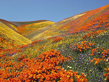 Spring, fields, nature HD wallpaper