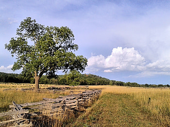 Lonely Field, pea ridge, battlefield, civil war, history HD wallpaper