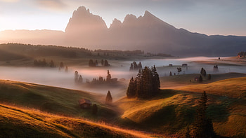 Alpe Di Siusi, South Tyrol, Italy, peaks, mist, dolomites, morning, trees, landscape, alps, rocks HD wallpaper