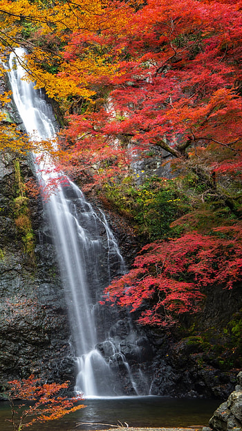 nature, waterfall HD phone wallpaper
