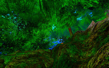 CHAKRYN FOREST, plants, moss, green, trees, logs, deep green, sky, forest HD wallpaper