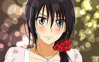 ayuzawa misaki, brown eyes, miad, brown hair blush HD wallpaper