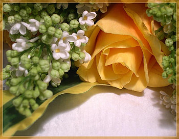 Birtay Rose, rose, bouquet, buds, yellow HD wallpaper