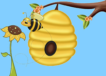 Honey Bee Hive & Drone, blue, hive, Bee, yellow, brown HD wallpaper