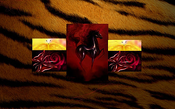 rare horse, black, tiger, red, yellow HD wallpaper