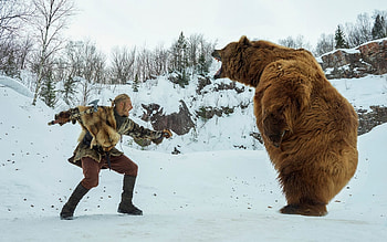 Alexander Ludwing Vikings, vikings, tv-shows, bear HD wallpaper