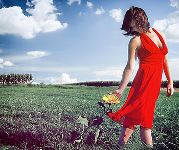 drifting slowly, sexy, model, graphy, girl, dress, sunflower, pretty, red, fields, flowers, sky, lovely, female HD wallpaper