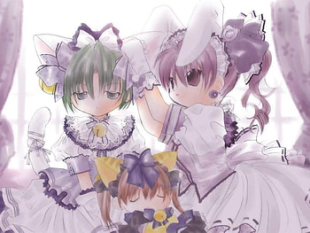Di Gi Charat, cute, girls, anime HD wallpaper