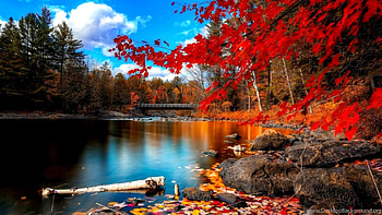 3D Full Screen Nature - - , Nature Full Screen HD wallpaper