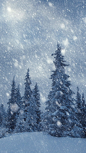 Snowy wonderland, -perfect snow, Winter , Snow-covered landscape HD phone wallpaper