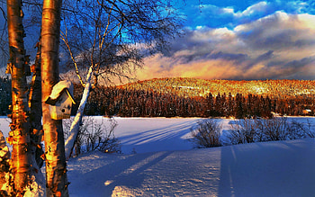 Winter in Quebec, sky, canada, snow, trees, landscape, clouds HD wallpaper
