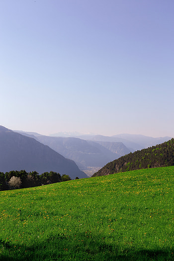 Nature, Grass, Mountains, Fog, Polyana, Glade HD phone wallpaper