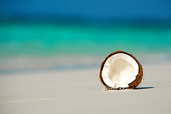 Beach, Coconuts HD wallpaper