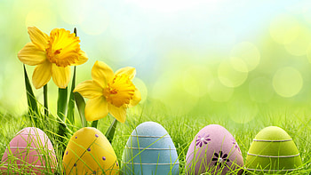 Easter holiday, Vibrant colored eggs, Joyous celebrations, Festive atmosphere HD wallpaper