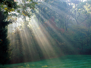 Nature, Sun, Shine, Light, Beams, Rays, Morning HD wallpaper