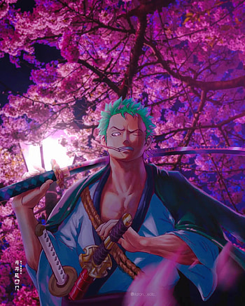 Zoro, Anime , Roronoa zoro, Monkey D Luffy, Sanji Vinsmoke, One Piece HD phone wallpaper