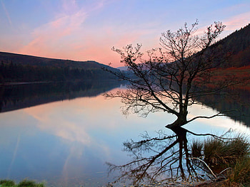 Derwent Resevoir, resevoir, water, lake, tree HD wallpaper
