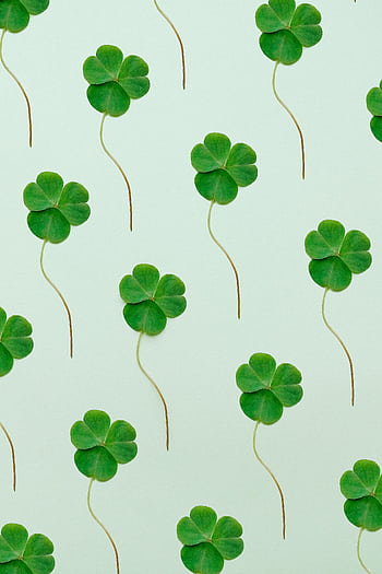 Seamless pattern of green clovers on a light background, perfect for St. Patrick's Day designs. HD phone wallpaper
