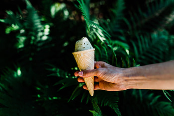 Food, Ice Cream, Hand, Waffle, Horn, Shoehorn, Creamy HD wallpaper