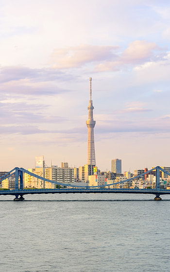 bridge, skyscraper, building, Japan, city, man made, Tokyo HD phone wallpaper
