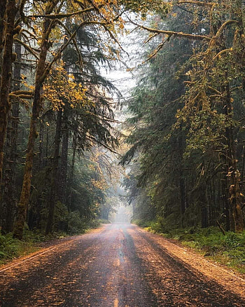 Olympic national park, sky, natural_landscape HD phone wallpaper