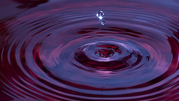 Water, Lilac, Violet, Macro, Spray, Purple, Drop HD wallpaper
