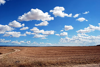Expansive rural field with fluffy clouds and a clear blue sky. HD wallpaper