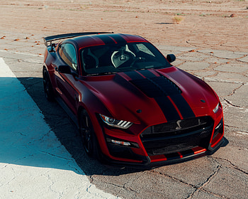 Ford Mustang Shelby GT500, muscle car, blood-red HD wallpaper
