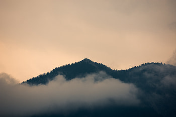 Nature, Forest, Fog, Hill HD wallpaper