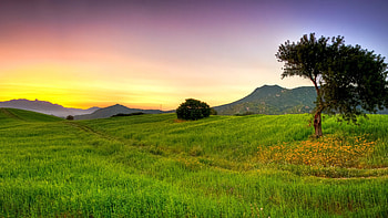 Nature grass beautiful light, Ultra , Stunning backdrop, Supreme full HD wallpaper