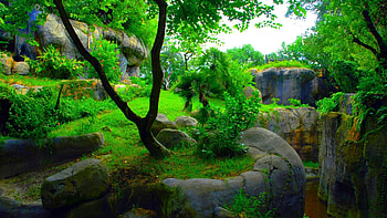... PC Group (85+) HD wallpaper