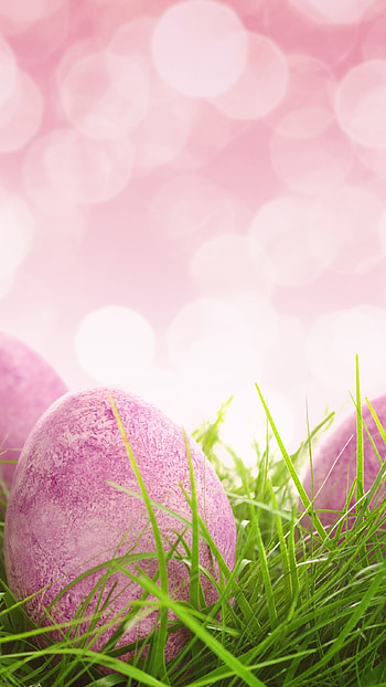 Easter, Pink, Eggs HD phone wallpaper