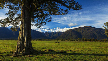 Franz Josef, South Island - New Zealand, landscape, sky, hills, tree, clouds HD wallpaper
