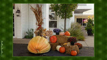 Pumpkin Kisses & Harvest Wishes : ), frame, orange, border, squash, pumpkins, corn ears, thankfu1, Amish Country, green, pumpkin, flowers, Thanksgiving, lantern, straw bales, border1ine, ho1iday HD wallpaper