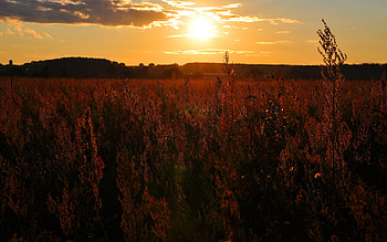 Landscape, Sunset HD wallpaper