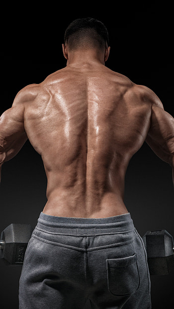 Impressive back muscles, Strength and power, Stunning , Gym motivation HD phone wallpaper