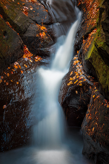 Nature, Water, Rivers, Stones, Leaves, Waterfall HD phone wallpaper