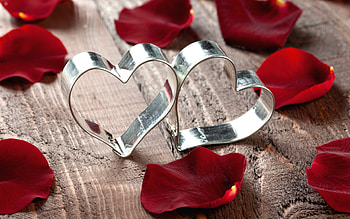 Holidays, Hearts, Valentine's Day HD wallpaper