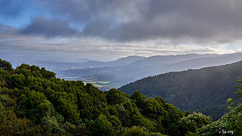 Green Leaves Trees Bushes Forest Hills Mountains Under Black Clouds Blue Sky Nature HD wallpaper