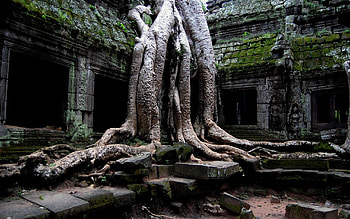 Thailand, Historical Site, Trees, Ruin HD wallpaper