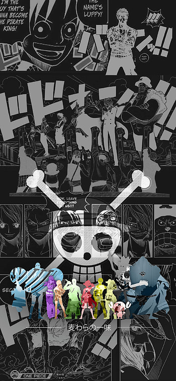 One Piece , King One Piece HD phone wallpaper