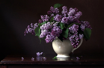 Lilacs, Pitcher, Background, Bouquet HD wallpaper