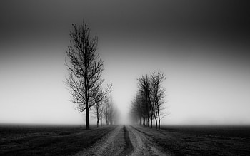 Ultra Black And White ( px) HD wallpaper