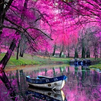 FAIRYTALE LANDSCAPE, eau, rose, barque, lac HD wallpaper