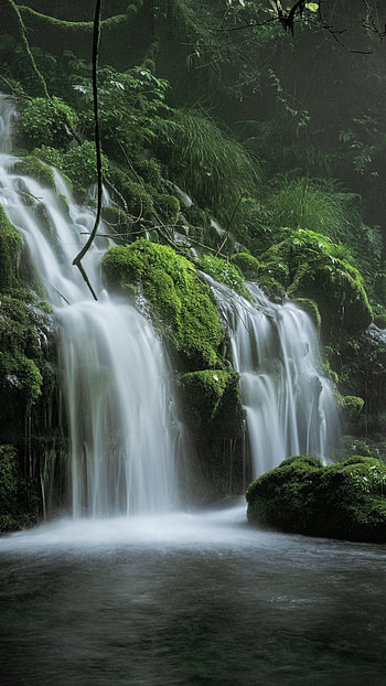 Spring waterfall, Nature's mist, Forest mystique, Captivating beauty HD phone wallpaper