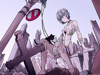 Anime Neon Genesis Evangelion Ayanami Rei bandage HD wallpaper