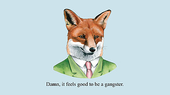 Gangstar fox, Animal, fox HD wallpaper
