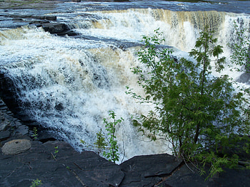 Tree beside the falls, waterfalls, nature, water, rock, tree HD wallpaper